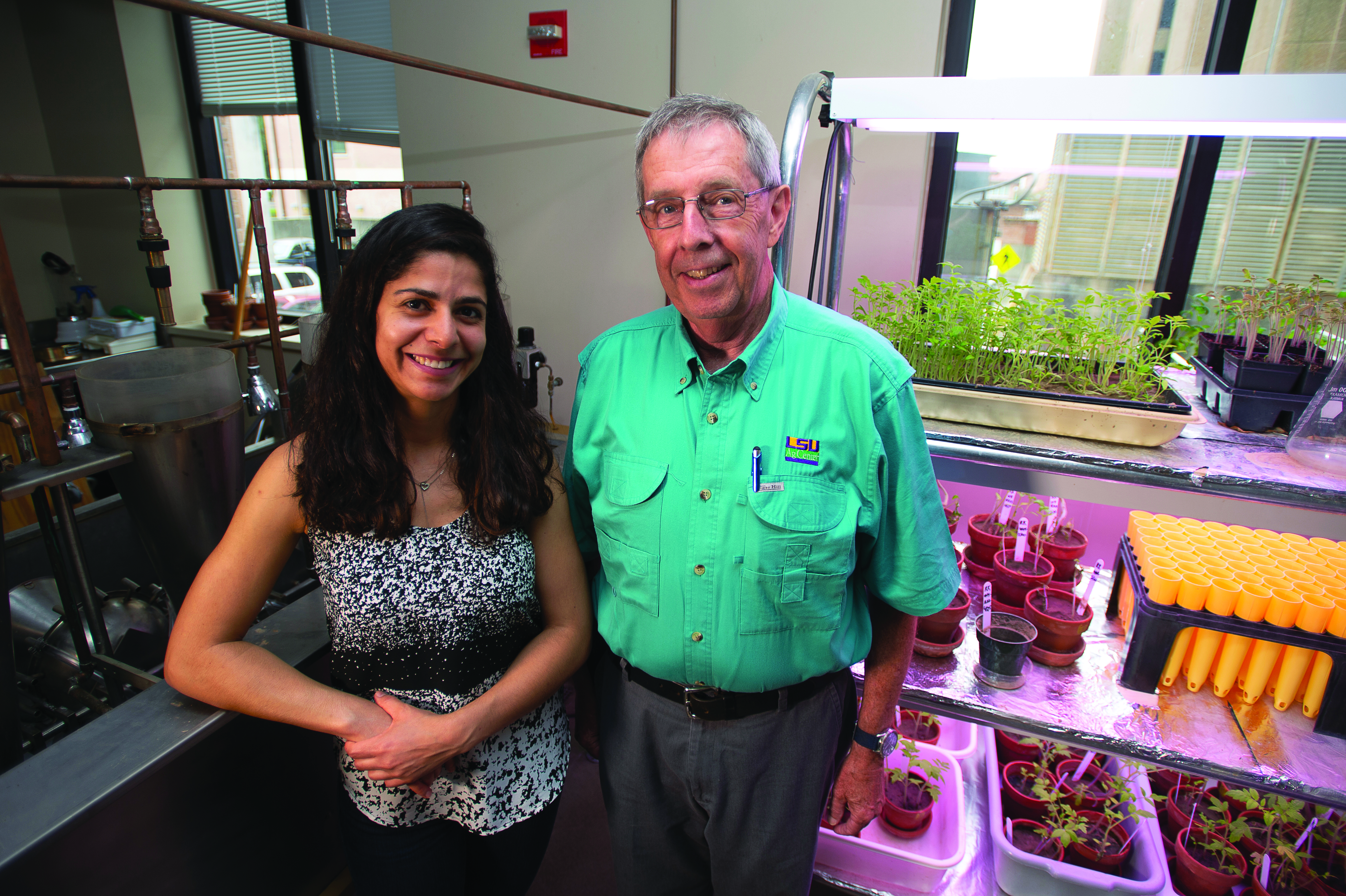 Scientists screening crop varieties for nematode resistance